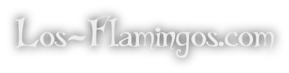 Los-Flamingos.com
